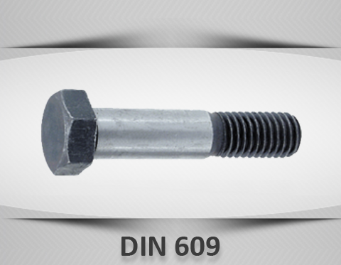 DIN609